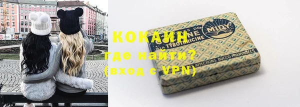spice Гусев