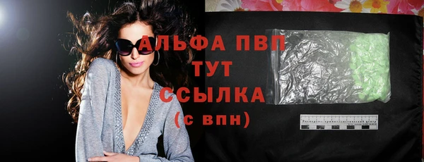 spice Гусев