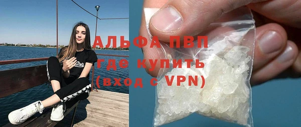 стафф Дмитровск