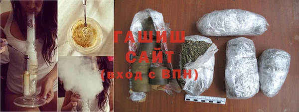 spice Гусев