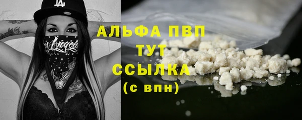 гидра Гусиноозёрск