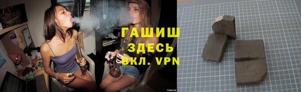 spice Гусев