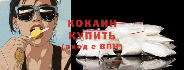 мет Ельня