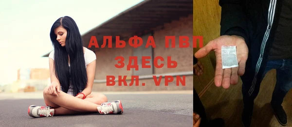 spice Гусев