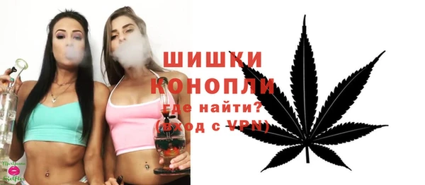 гидра Гусиноозёрск