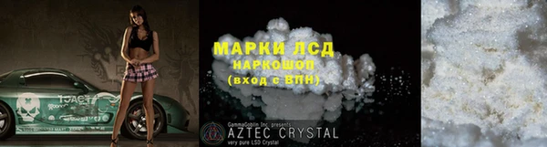 индика Горнозаводск