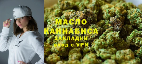 spice Гусев
