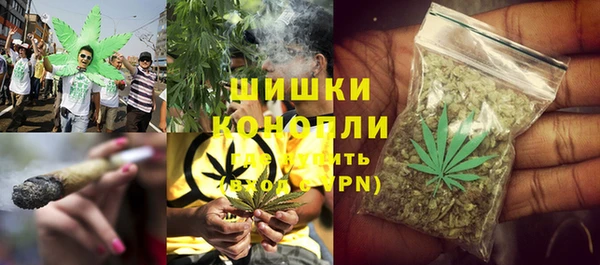 гидра Дмитров