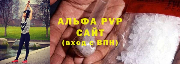 гидра Гусиноозёрск