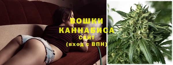 spice Гусев