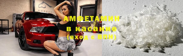 индика Горнозаводск