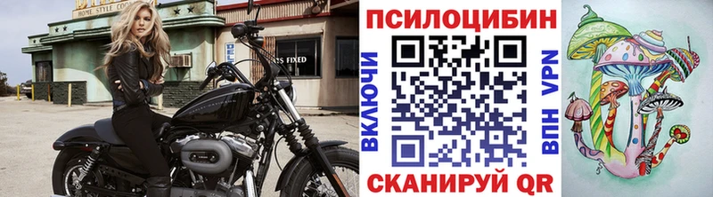 Купить закладки  Лесосибирск  Галлюциногенные грибы мухоморы 